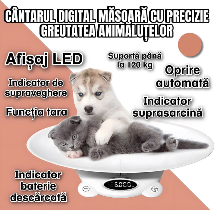 ff4775ce122148875aa32834c5e50b07