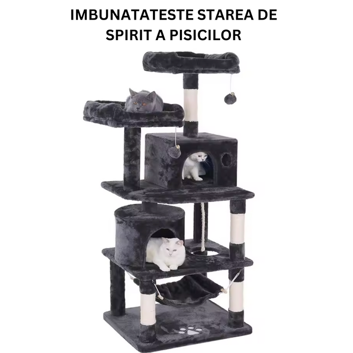 c0988701502310e477b642b4f605e795